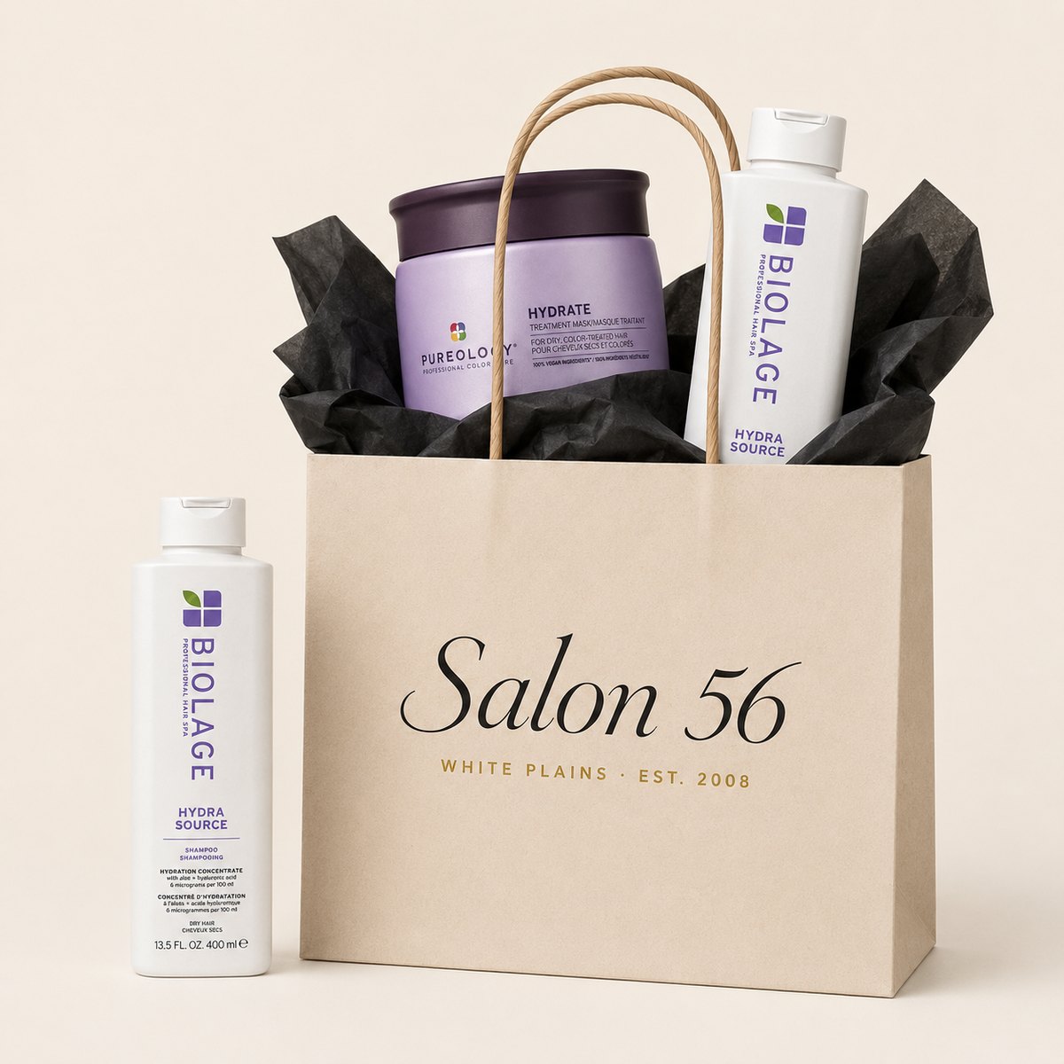 Salon 56 kraft gift bag with Pureology and Biolage products